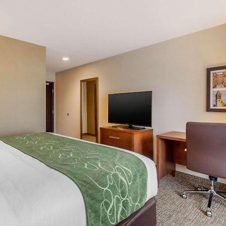 Comfort Inn & Suites Schenectady - Scotia Экстерьер фото