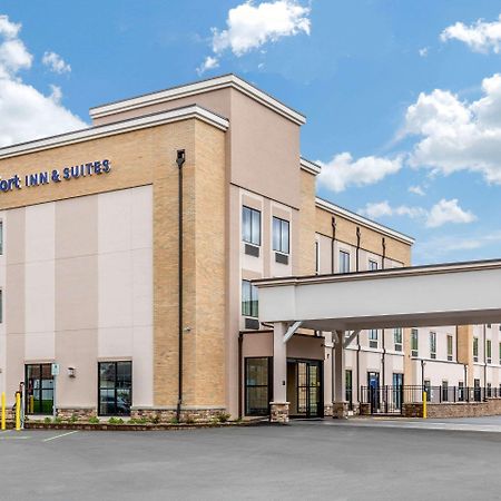 Comfort Inn & Suites Schenectady - Scotia Экстерьер фото