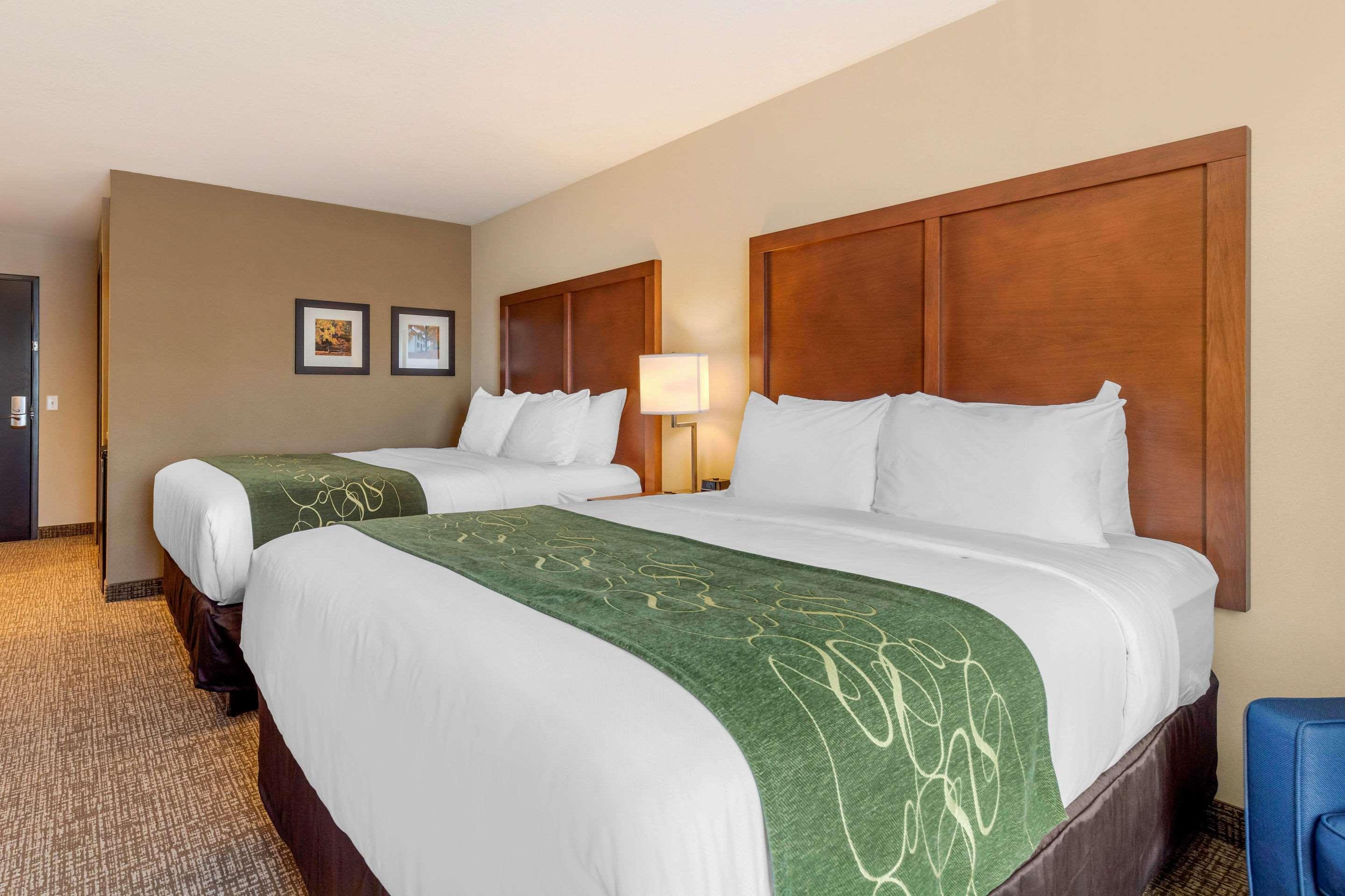 Comfort Inn & Suites Schenectady - Scotia Экстерьер фото