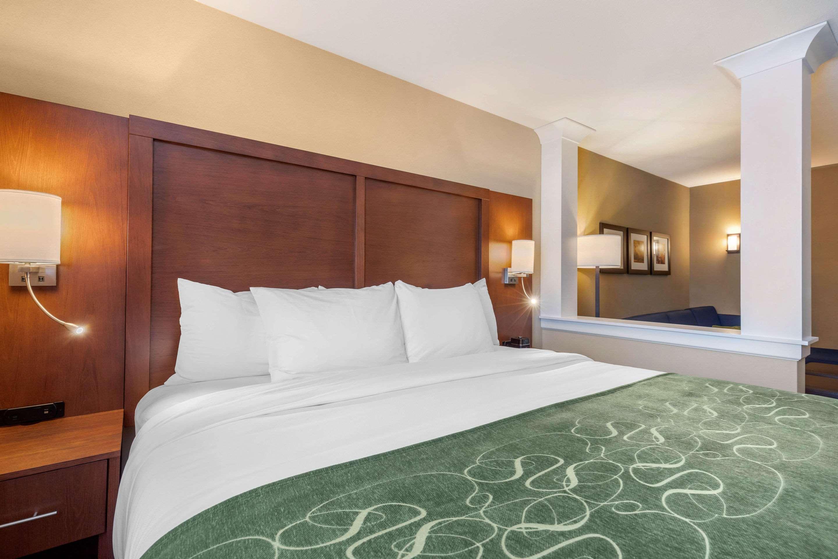 Comfort Inn & Suites Schenectady - Scotia Экстерьер фото