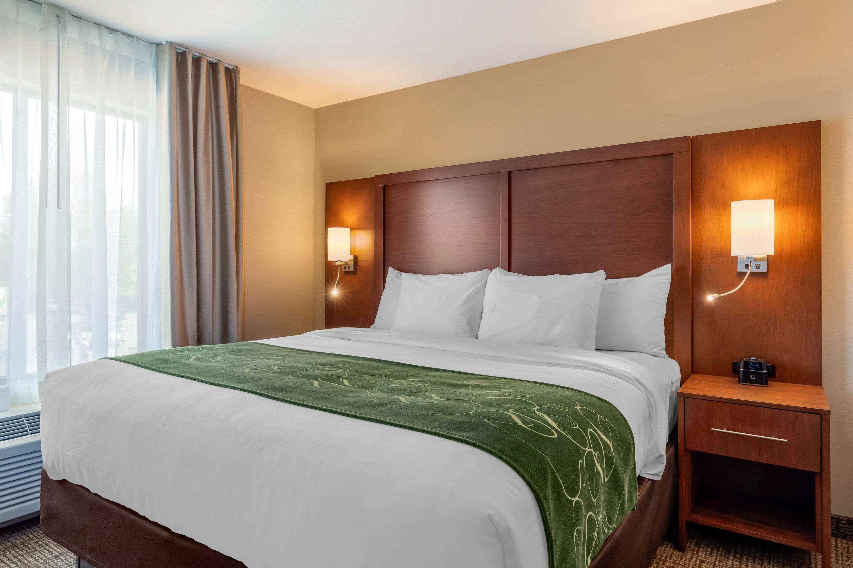 Comfort Inn & Suites Schenectady - Scotia Экстерьер фото