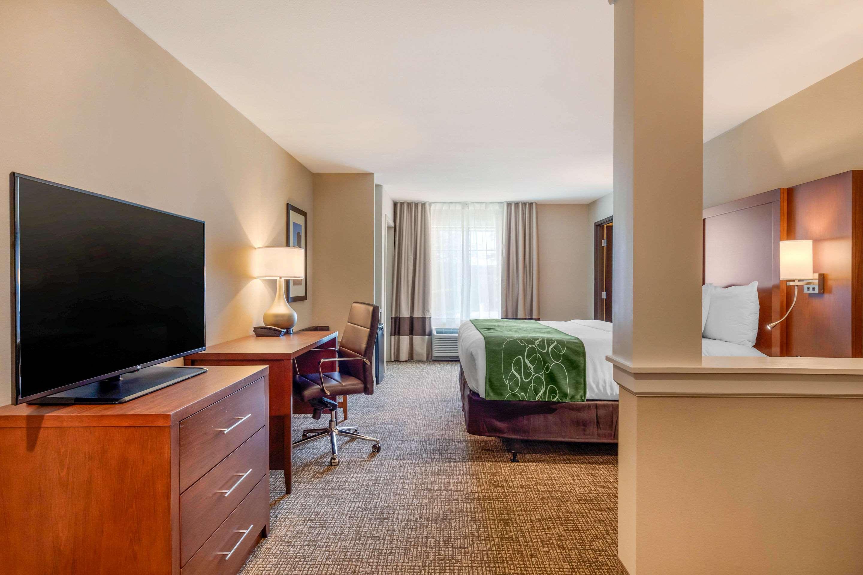 Comfort Inn & Suites Schenectady - Scotia Экстерьер фото
