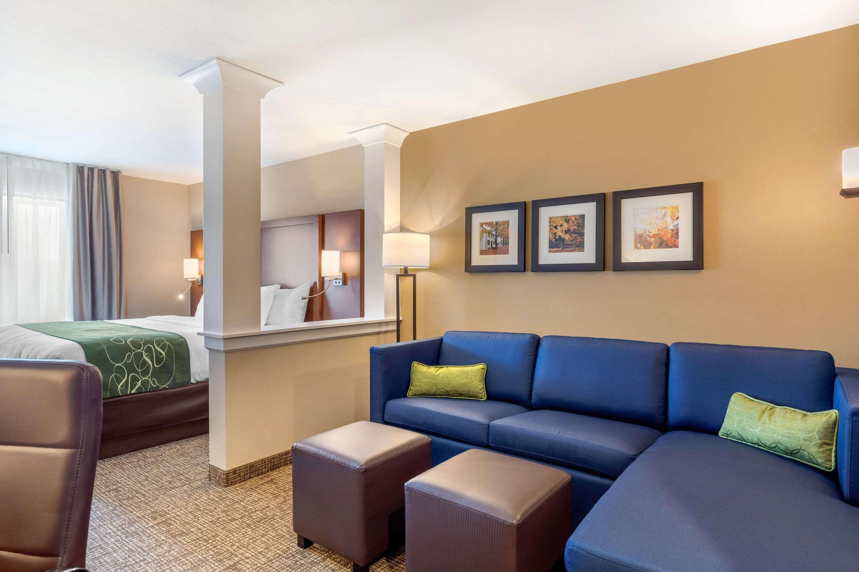 Comfort Inn & Suites Schenectady - Scotia Экстерьер фото