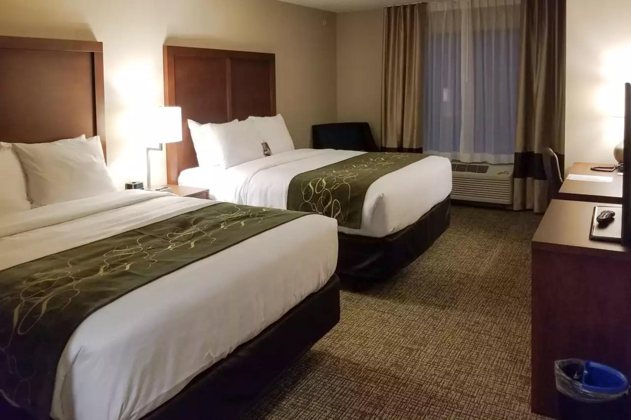 Comfort Inn & Suites Schenectady - Scotia Экстерьер фото