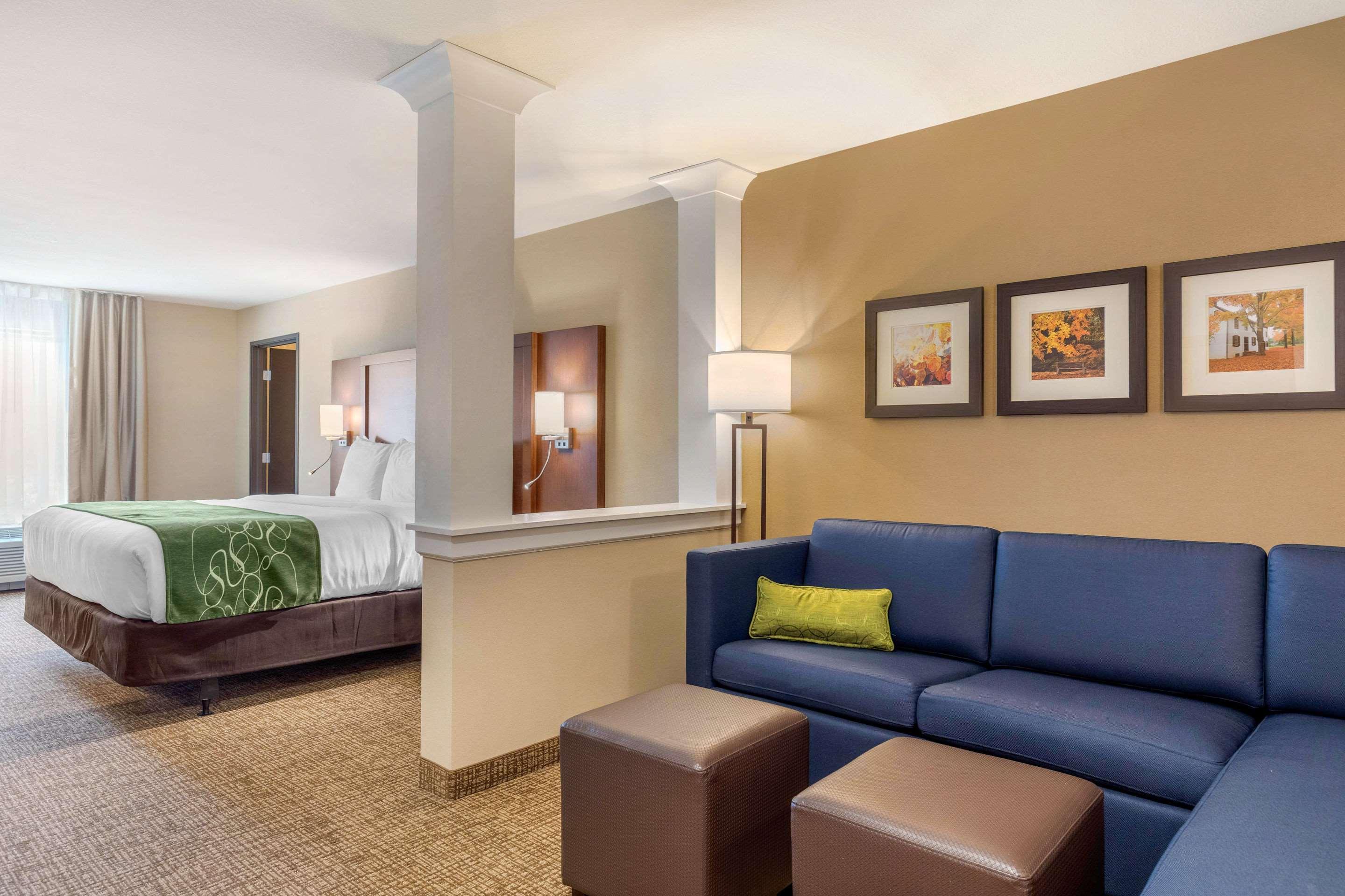 Comfort Inn & Suites Schenectady - Scotia Экстерьер фото
