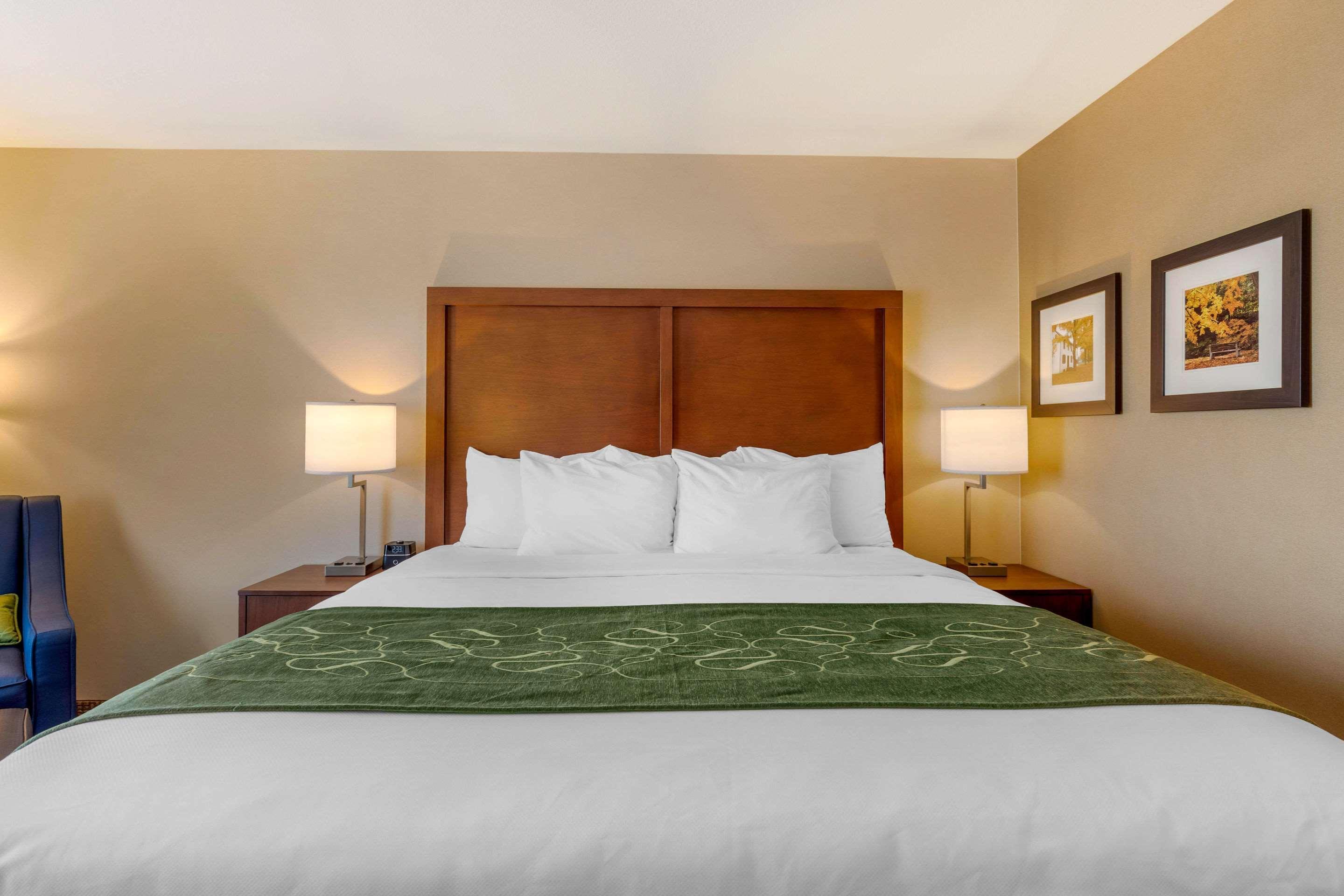 Comfort Inn & Suites Schenectady - Scotia Экстерьер фото