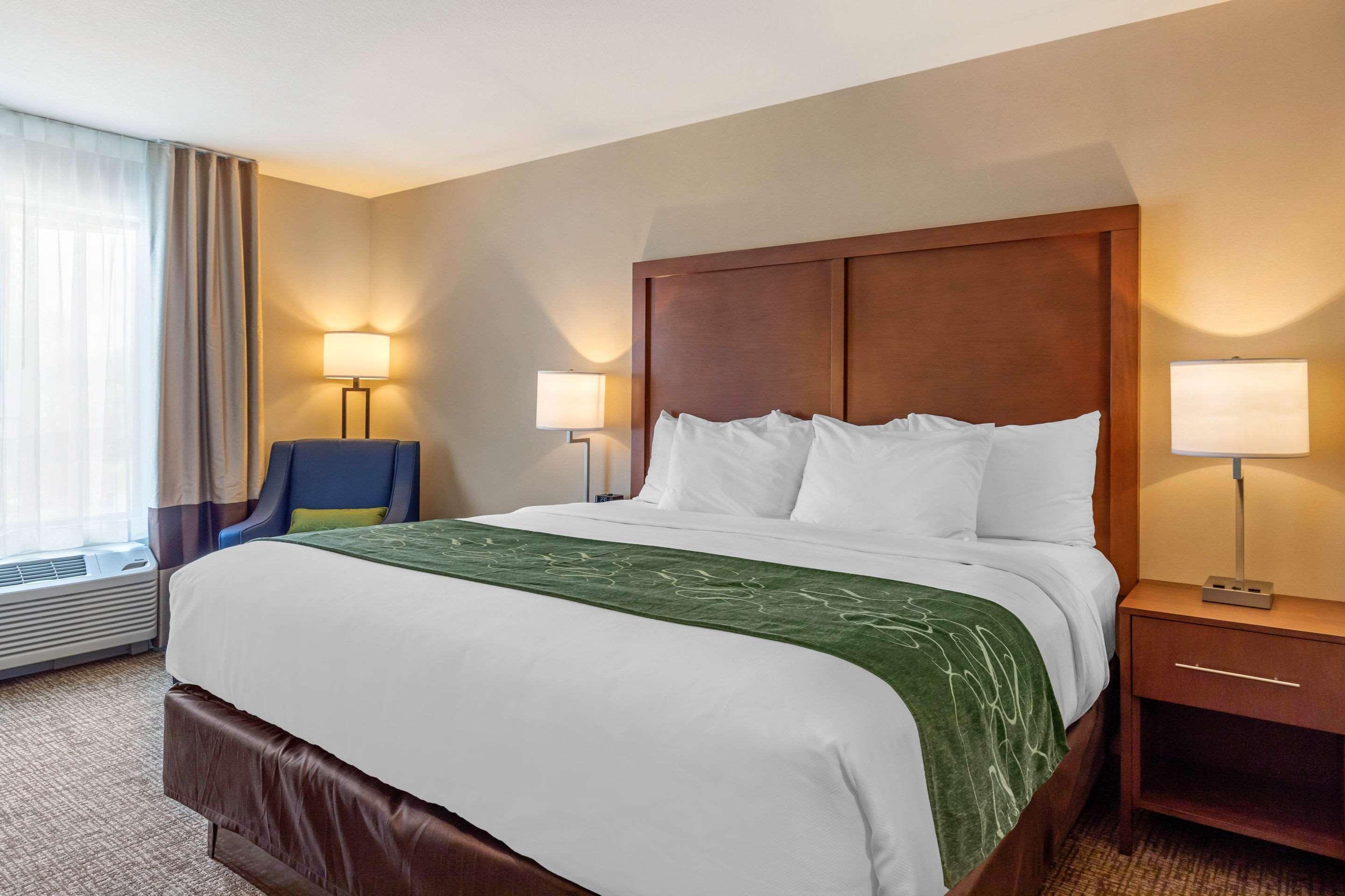 Comfort Inn & Suites Schenectady - Scotia Экстерьер фото