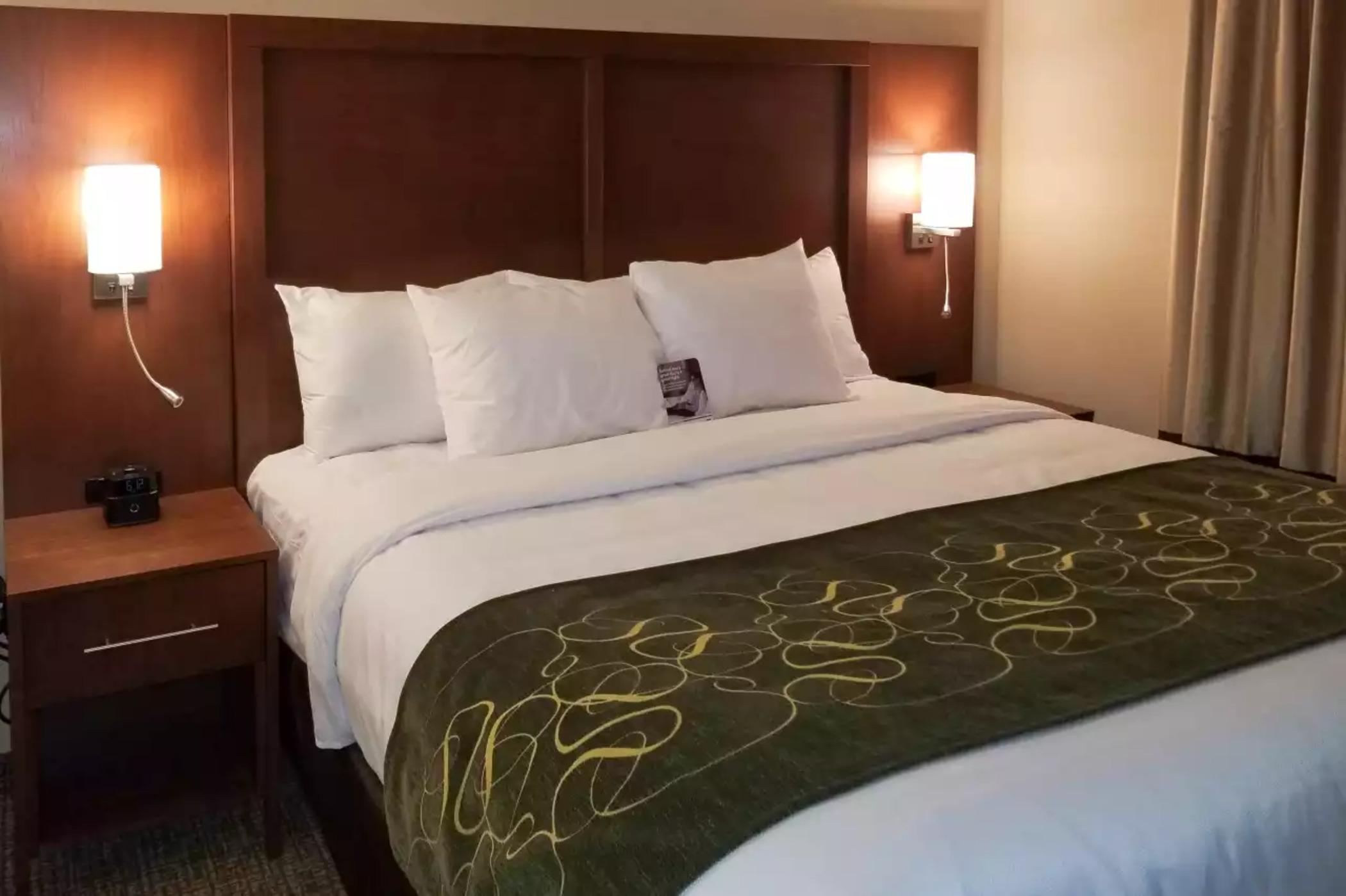 Comfort Inn & Suites Schenectady - Scotia Экстерьер фото