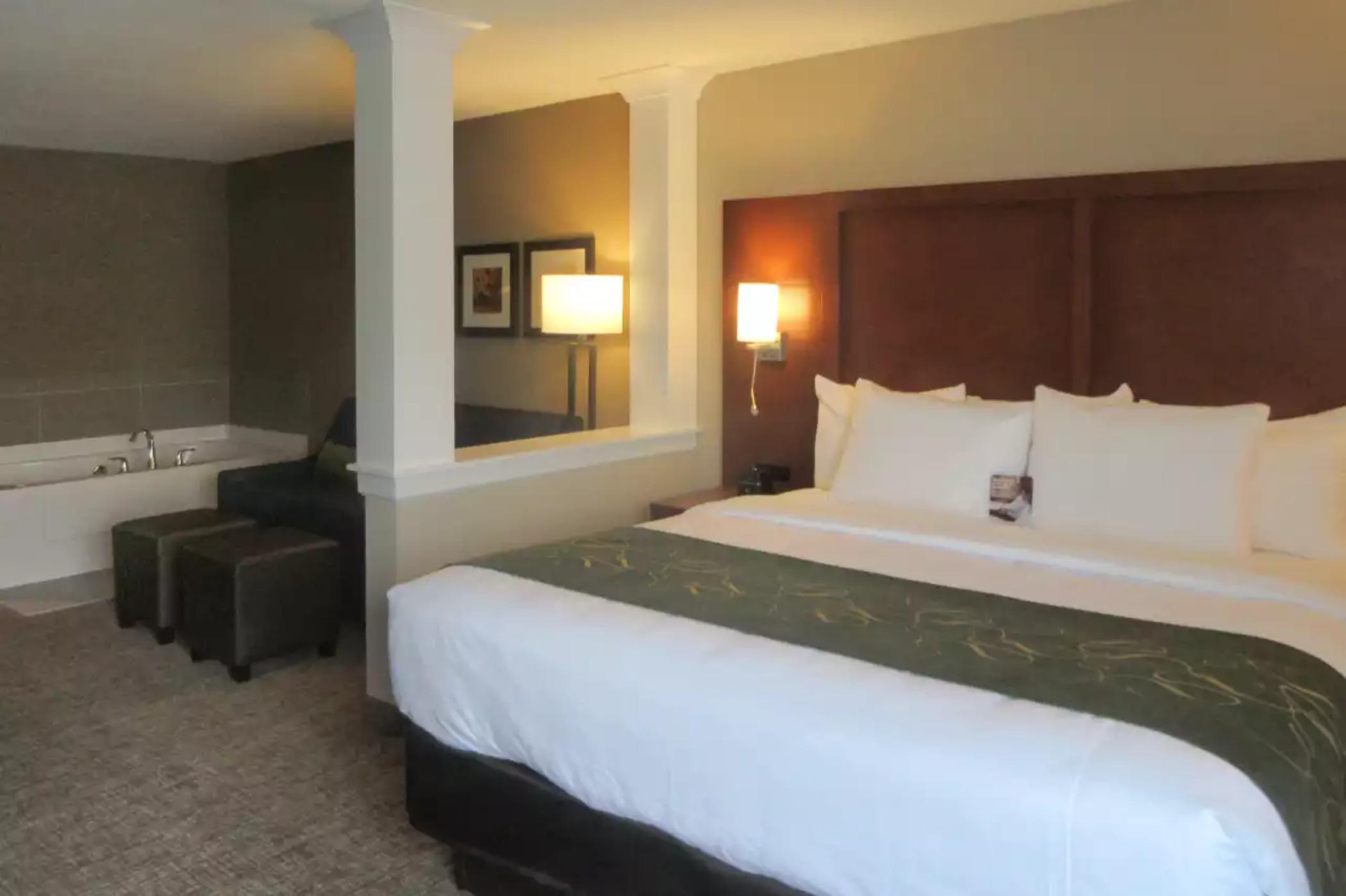 Comfort Inn & Suites Schenectady - Scotia Экстерьер фото