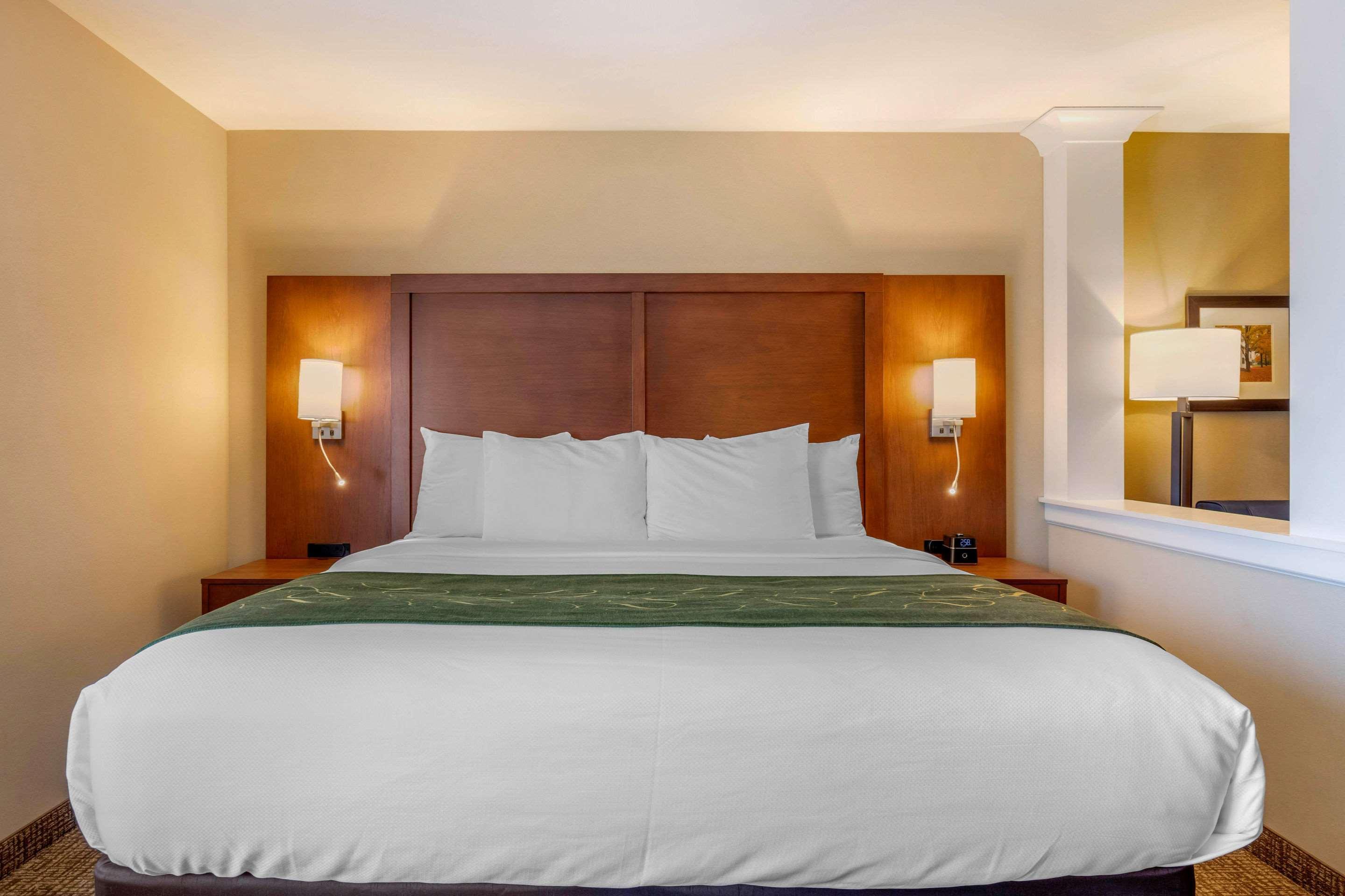 Comfort Inn & Suites Schenectady - Scotia Экстерьер фото